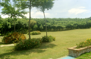 �C�C����