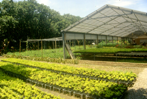 �����Ы�