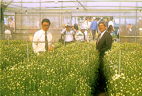 �[���|�ѰƳ��������t�D��(��)�A�A�e�|�����줽�ǰƥD������c�դh�Y�{����(�k)