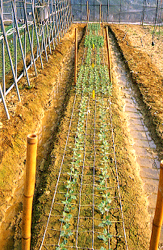 �ǲΧ@���������Ҧ�