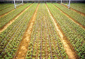 �K�Ӯ���Ҧ����K�ߡA�H�@���s�覡����A�ñĥΦ۰ʼQ��Ѥ�