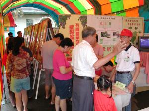 �����A�~���G�i�������i����