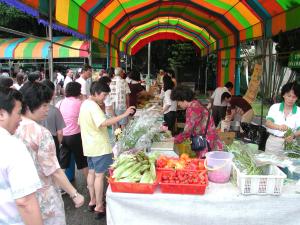 �������G�i�ܫP�P�ϥ������ʼ���