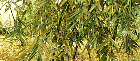 �˪��϶H�M�`�Y������J�\