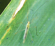 �˪��϶H����