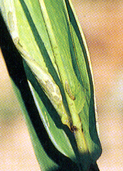 �˱������M�`��