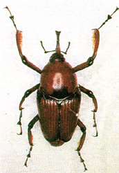 �x�W�j�H����