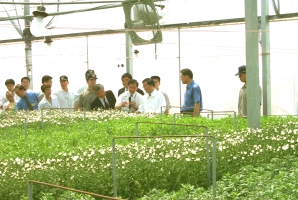 ���e�������P���`�Ψ����L��V��ж��Ͳ�