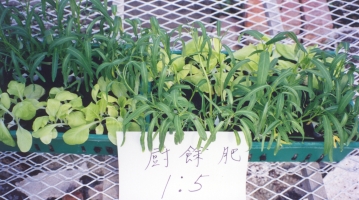 ���ͤ��p�l��������ƥi�H�A����ҲV�X�g�[�ϥ�