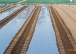 RM260���v���콦���Q�]���@�~��������