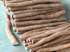 �N�����s�Ĥ��q�H��K���ť]��