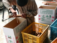 �ﵽ�]�˥H��K�B��P��