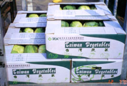 �j�v�����p���H�x�W����~�P�ݮi�~�P����