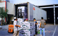 �~�P����˳f�d�X�f����