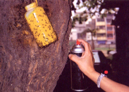 �Q������