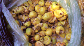 ���G�m�콦�U���n��