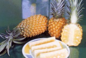 ������Ϥ�