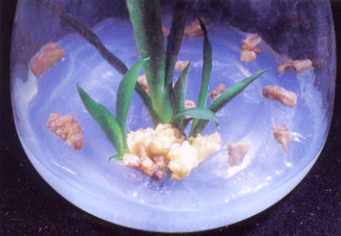 ���������������i,����|����