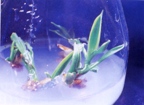 ������������(����)���i�t�׺C,���i�O�d����