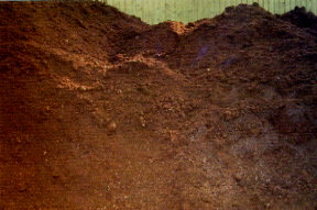 �G����Ϊ��~�[�e�Ŧ�,���P�Pı