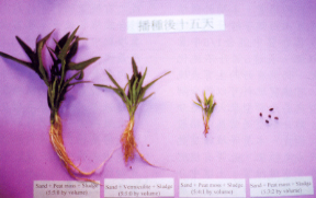 �ϥΥ��o�ä��޳��êd�ջs����(�k�G�t���êd10%,�k�@20%),�y���Ťߵ�ͨ|����