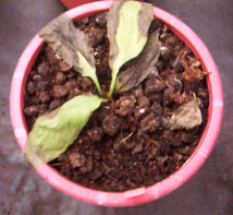 ���b�����]��t20%�o�ä��������ɪ����T��Ϊ�����,�y���Ӯ踭�t�\�J