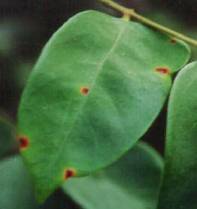 ���f�����f�������ⴳ�I�����t����A�P�򦳶���w��