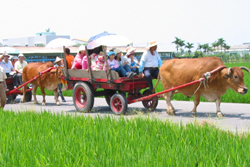 �m���p�������C�O�{�N�H���o������