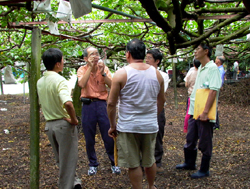 �g�[�M�a�{�����A���ѻ������g�[��}�޳N