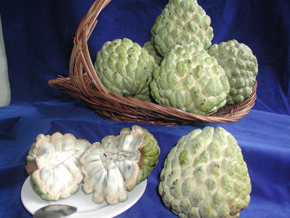 �f��K���Ϥ�