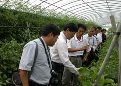 �L�T�۳���(���G)�λP�|�ӻ����[����p�G�f�X�ж��������