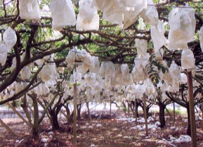 ����M�U����