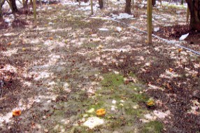 ���G���`�Τ����n�F�ͷ�