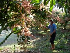 �G�A�Q�x�����G�α���