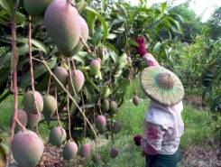 �A�ѪG�A�P�ʸ���I�α���