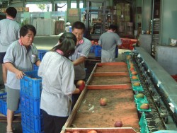 �i��~�G���ť]�˧@�~