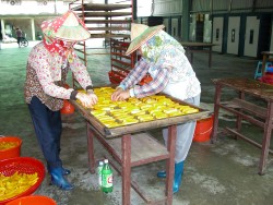 �~�G�z�s�@