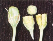 �v�ܱ�¯���G�󤺺ؤl�q�h