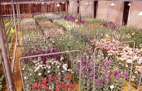 �~���[��ο�|�E