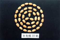 �x�n�z10���_�\