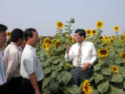 �L�����V�ӻ��ѻ����[�V�鸪���u�I