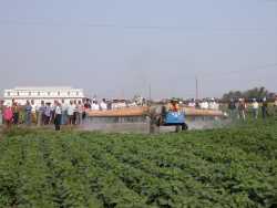 �j���ĺإЦw�ƹA���Q�x�A�ĥܽd