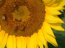 �V�鸪�O�ܦn���e���Ӫ�