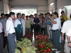 ���Z���V�P�|�ӻ����Ф��b��Ħ���B�z�y�{