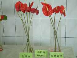 ���b��O�A�B�z�޳N���}�o���ļW�[�~���ةR