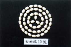 �x�n�z10���զ�