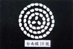 �x�n�z10���W��