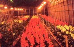 �V�u����b�]���q��4�p�ɥi����10�Ѷ}��