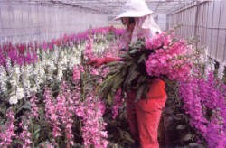 �H�ް_���覡�Ħ���ù������