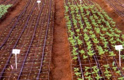 ����(�k)��޽L����(��)�ͪ����i�Y�u�j��10��